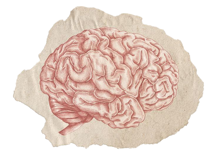 Seeds publishes multi-media content that asks questions, evokes feelings, and opens the body, heart, and mind to new perspectives on living and working.